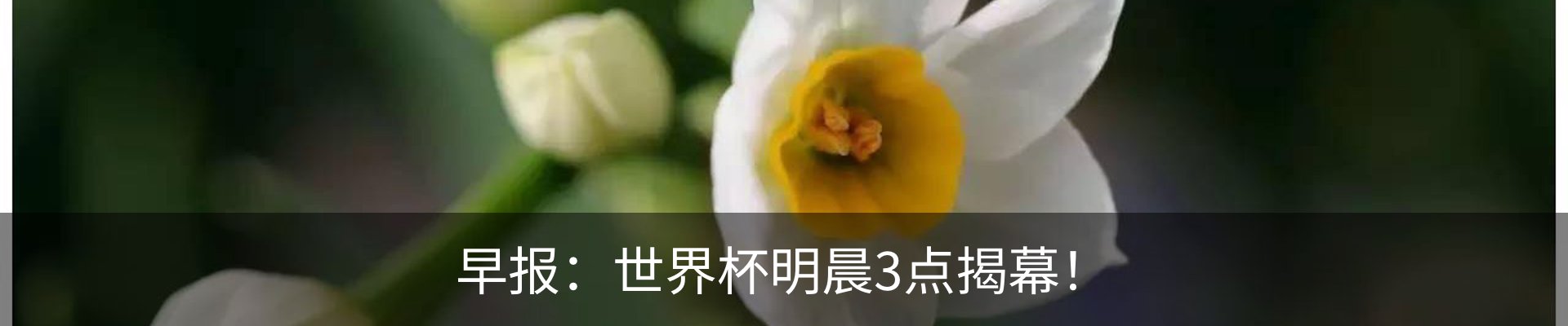 资讯动态